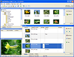 MySlideShow's main window